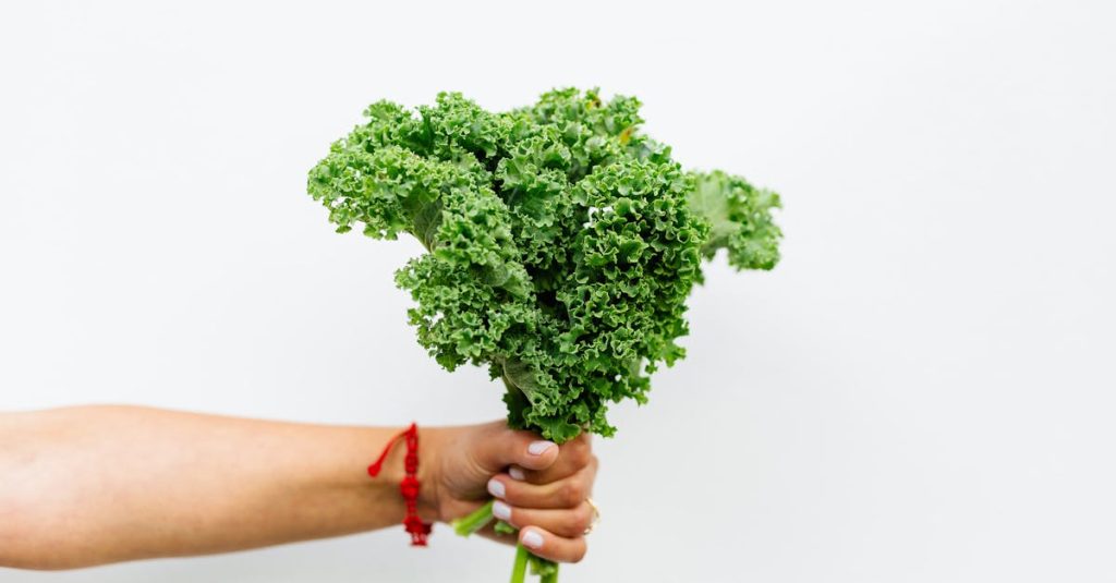découvrez le régime céto, une approche alimentaire axée sur la réduction des glucides et l'augmentation des graisses saines. apprenez à équilibrer vos repas, à perdre du poids efficacement et à améliorer votre énergie au quotidien grâce à des recettes savoureuses et des conseils pratiques.