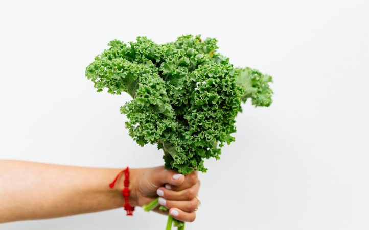 découvrez le régime céto, une approche alimentaire axée sur la réduction des glucides et l'augmentation des graisses saines. apprenez à équilibrer vos repas, à perdre du poids efficacement et à améliorer votre énergie au quotidien grâce à des recettes savoureuses et des conseils pratiques.